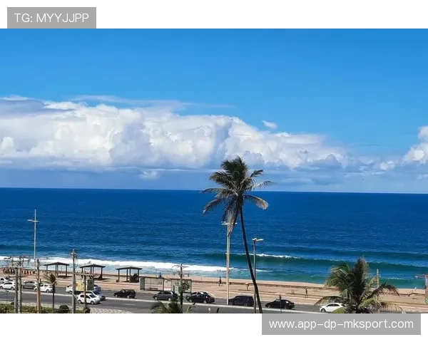 巴哈马新建体育中心全面投入使用，巴哈马酒店