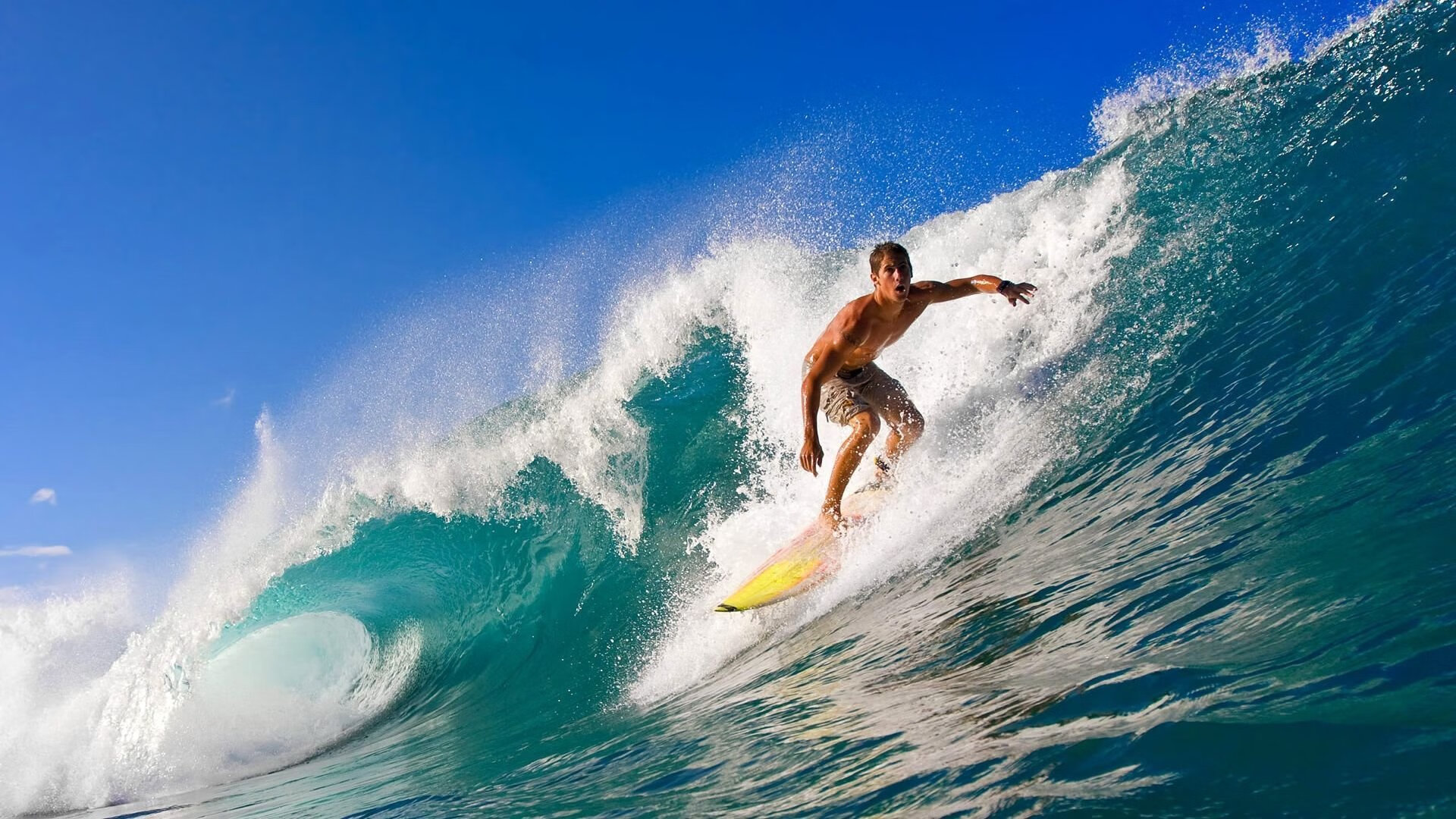 体育产业年度投资分析报告